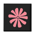 pink daisy magnets