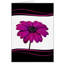 Pink daisy - map card