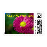Pink Daisy • May Wedding Stamp