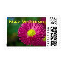 Pink Daisy • May Wedding Stamp by SabineStGreetings Pink Daisy • May Wedding Stamp