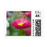 Pink Daisy • May Wedding Stamp