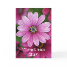 Pink Daisy Mothers Day Card card