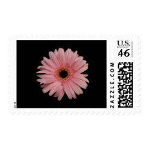 Pink Daisy Postage