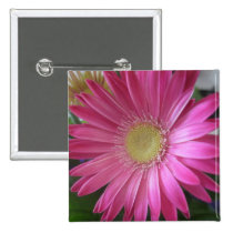 Pink Daisy Princess buttons