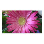 Pink Daisy Princess Business Card Templates