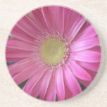 Pink Daisy Princess Drink Coaster