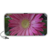Pink Daisy Princess speakers