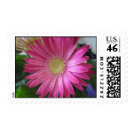 Pink Daisy Princess Stamps