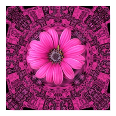 PINK DAISY PRINT by KABSANNIE