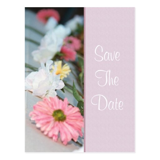 Pink Daisy & Rose Save The Date Postcard