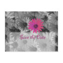 pink daisy save the date postcards by partypassion pink daisy save the date postcards