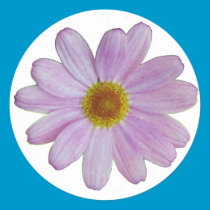 Pink Daisy Sticker stickers