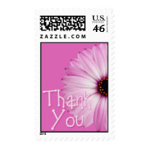 Pink Daisy Thank You