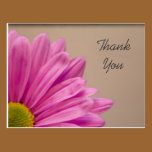 Pink Daisy Thank You Postcard postcards