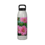 Pink Daisy Water 'Bottle Water Bottle