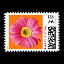 Pink Daisy with Orange Postage Stamps