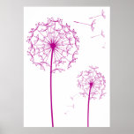 pink dandelion posters