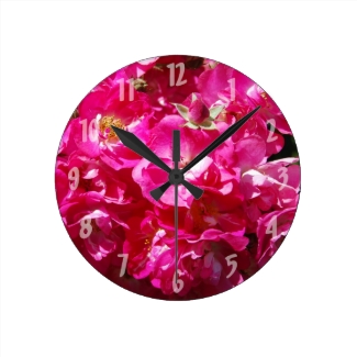 Pink Daydream Roses