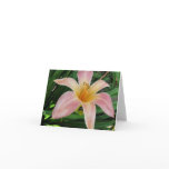 Pink Daylily Note Card Pink Daylily Note Card