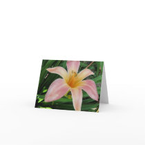Pink Daylily Note Card