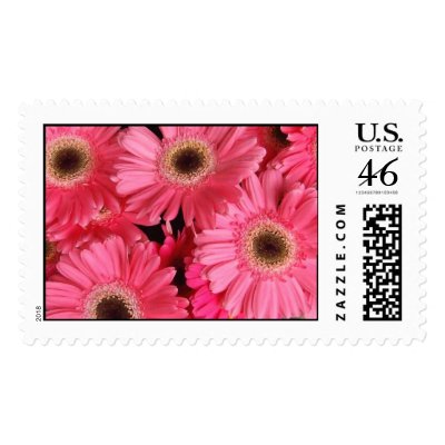 Pink Delight Postage by designcreatology