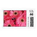 Pink Delight postage by designcreatology Pink Delight postage