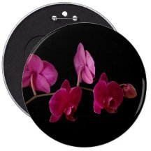 Pink Dendrobium Orchid - Customized Flowers