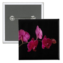 Pink Dendrobium Orchid - Customized Flowers