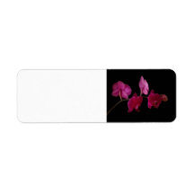 Pink Dendrobium Orchid - Customized Flowers Custom Return Address Labels