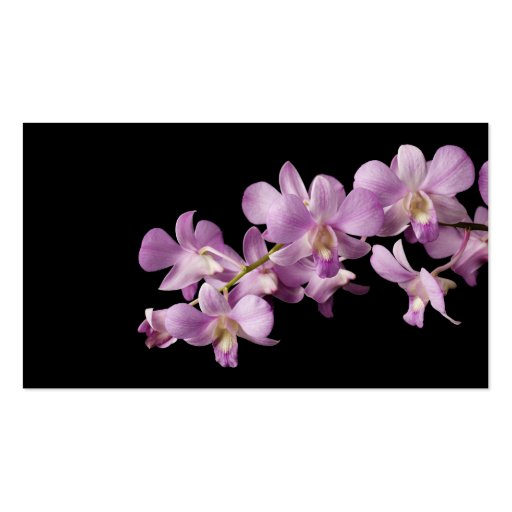 Pink Dendrobium Orchid Flower on Black - Orchids Business Card Templates (front side)