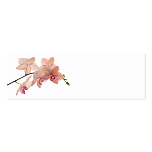 Pink Dendrobium Orchid Flower - Orchids Template Business Cards