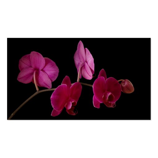 Pink Dendrobium Orchid on Black - Customized Business Card