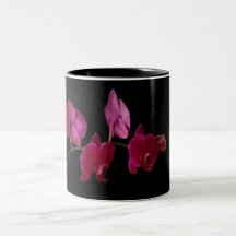 Pink Dendrobium Orchid on Black - Customized Mug