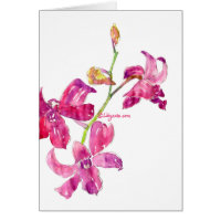 Pink Dendrobium Orchids Watercolor Card