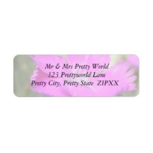Pink Dianthus Bloom Return Address Labels