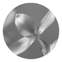 Pink Dogwood Bloom stickers by princessklb07 Pink Dogwood Bloom stickers