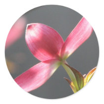 Pink Dogwood Bloom stickers by princessklb07 Pink Dogwood Bloom stickers