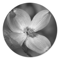 Pink Dogwood Bloom stickers by princessklb07 Pink Dogwood Bloom stickers