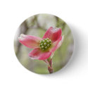 Pink Dogwood Blossom buttons by littlewingdesign Pink Dogwood Blossom buttons
