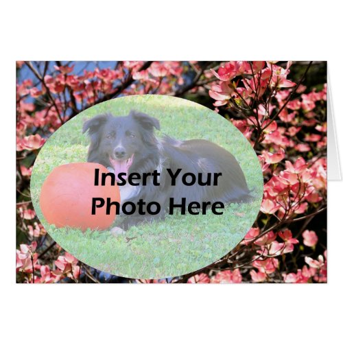 Pink Dogwood Blossoms Add Photo Template Card card
