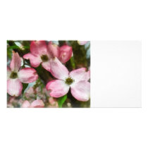 Pink Dogwood Closeup photo cards