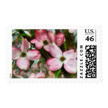 Pink Dogwood Closeup stamps
