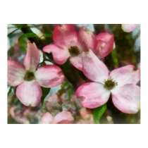 Pink Dogwood Closeup posters
