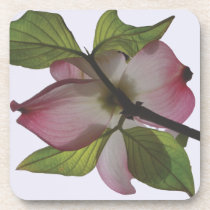 Pink Dogwood cork coaster cork coasters