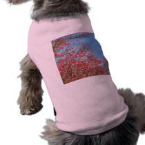 Pink Dogwood pet clothing