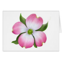 Pink Dogwood Flower Greeting Card