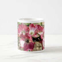Pink Dogwood Flower Photo Coffee Or Tea Mug