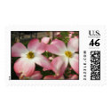Pink Dogwood Flower postage by princessklb07 Pink Dogwood Flower postage