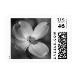 Pink Dogwood Flower Stamps