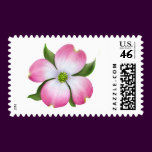 Pink Dogwood Flower